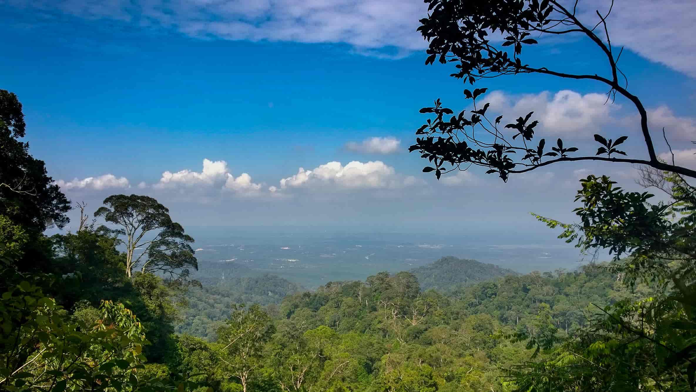 gunung pulai