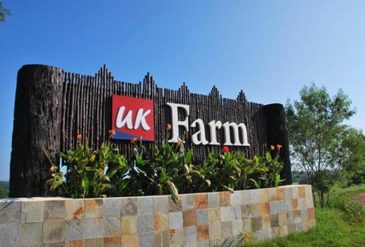 kluang uk farm